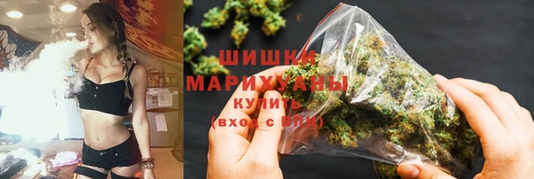 сатива Пересвет