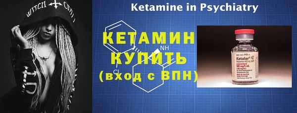 сатива Пересвет