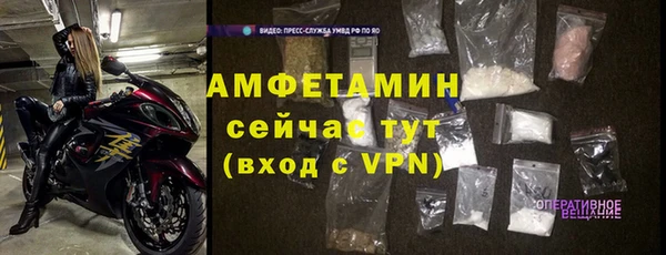сатива Пересвет